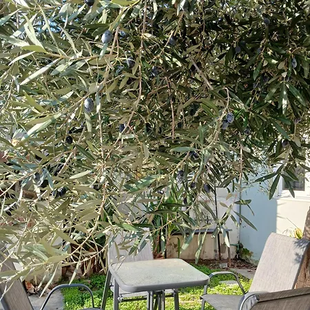 Διαμέρισμα Petra